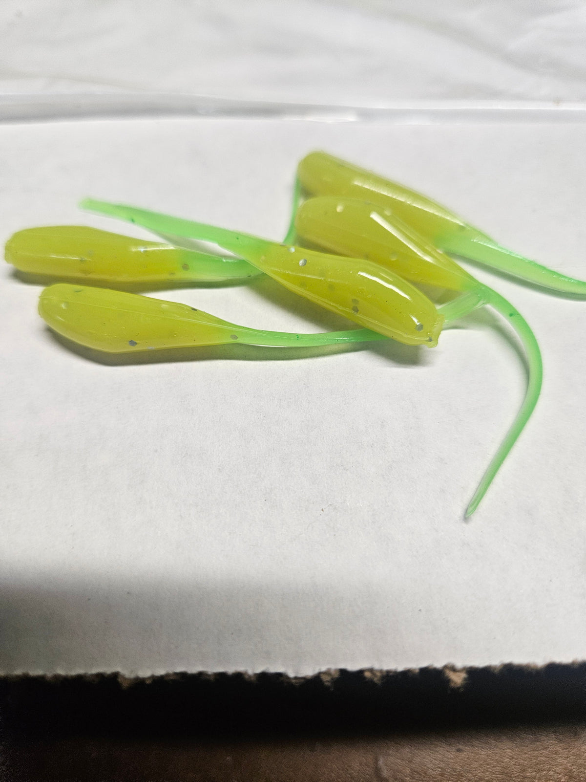 Whip Tail
